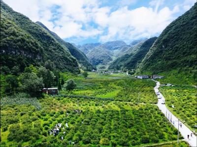 六盤水市產(chǎn)業(yè)轉(zhuǎn)型升級(jí)示范區(qū)2項(xiàng)經(jīng)驗(yàn)在全國(guó)推廣并獲通報(bào)表?yè)P(yáng)