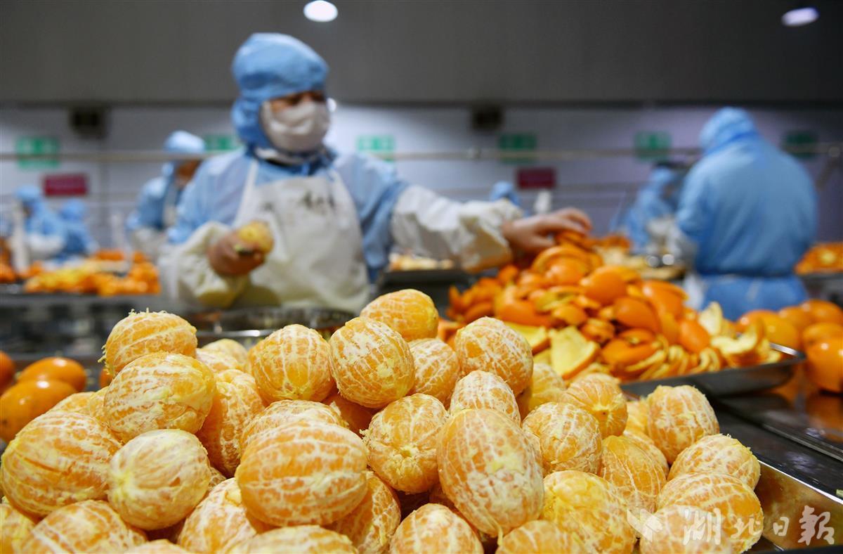 屈姑食品亮相全國農(nóng)業(yè)國際貿(mào)易高質(zhì)量發(fā)展基地建設(shè)交流會(huì)