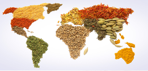 愛普股份2023年業績分析 營收近28億元，食品配料業務貢獻超七成收入